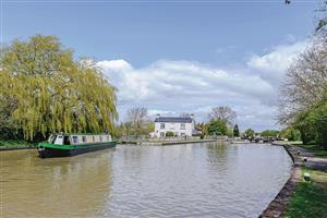 Wild Chervil, Calcutt BoatsOxford & Midlands Canal
