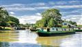 Wild Dandelion, Calcutt Boats, Oxford & Midlands Canal